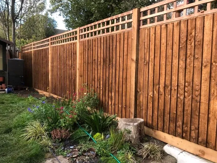 Feather-edge close-board fence topped with square trellis behind a planted flower border