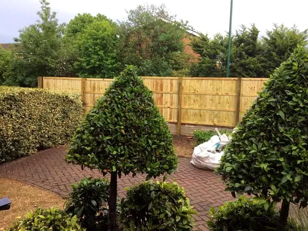 Feather-edge fence panels cut to step neatly over a wall on concrete posts, with a palm alongside