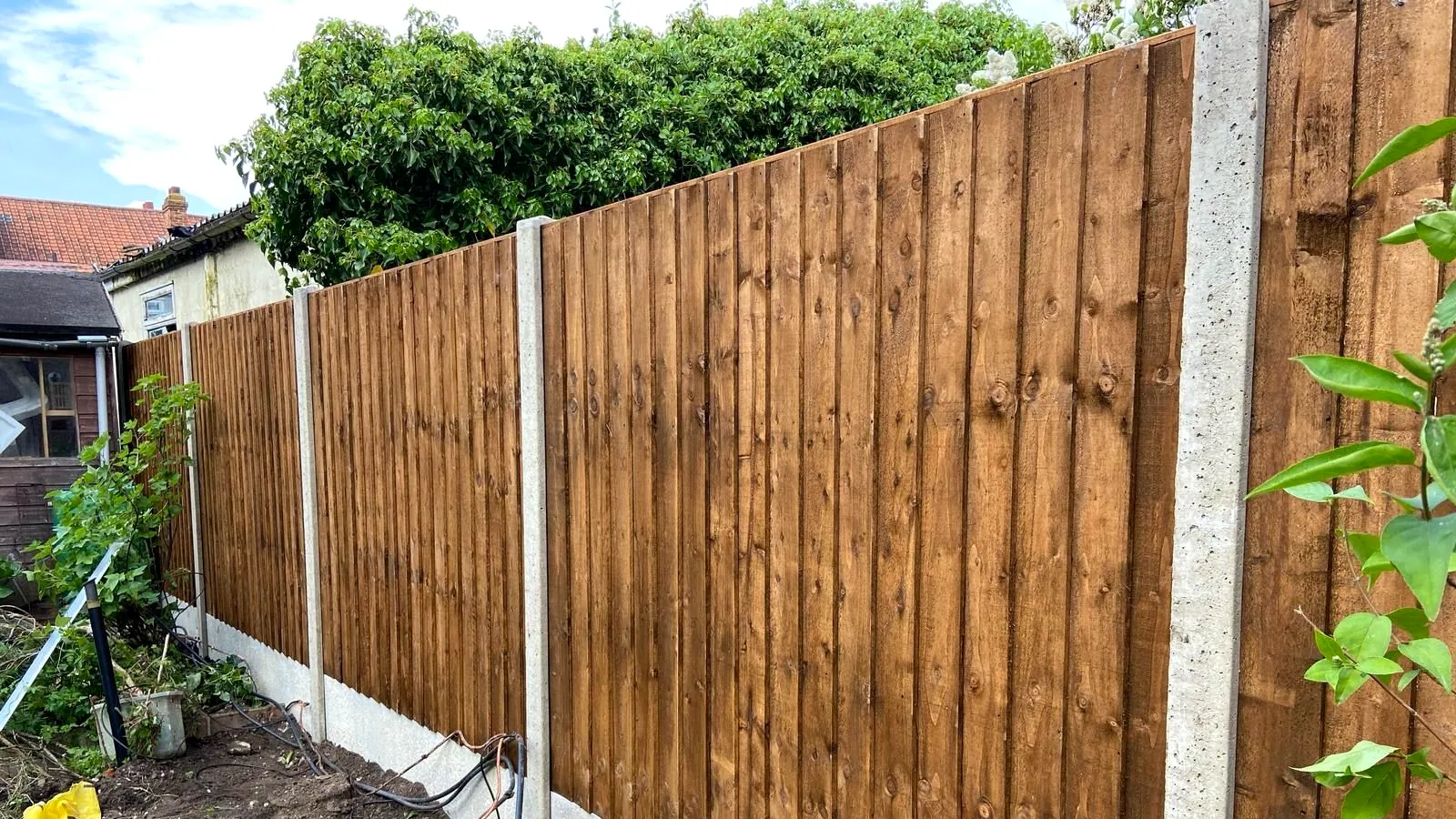 New feather-edge close-board fence stained dark brown on concrete posts and gravel boards